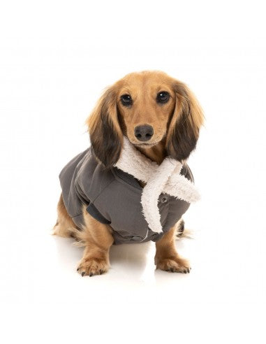 Dog bomber jacket FuzzYard Nordic in charcoal with removable scarf