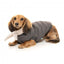 Dog bomber jacket FuzzYard Nordic in charcoal with removable scarf