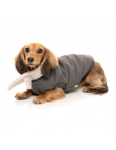Dog bomber jacket FuzzYard Nordic in charcoal with removable scarf