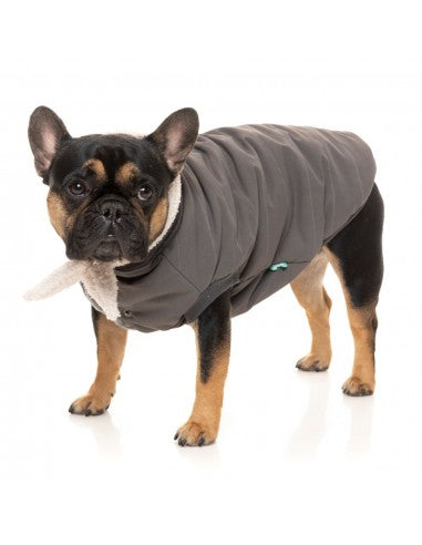 Dog bomber jacket FuzzYard Nordic in charcoal with removable scarf