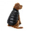 FuzzYard East Harlem puffer dog coat in black