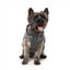FuzzYard Essential hooded padded dog coat in grey