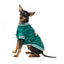 FuzzYard Fastball Baseball Dog Jacket, Green