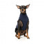 FuzzYard Fitzroy Sherpa Dog Gilet, Navy Blue