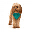 FuzzYard Fitzroy Sherpa Dog Gilet, Green