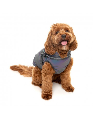 FuzzYard Flash reflective dog jacket with harness