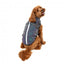 FuzzYard Flash reflective dog jacket with harness