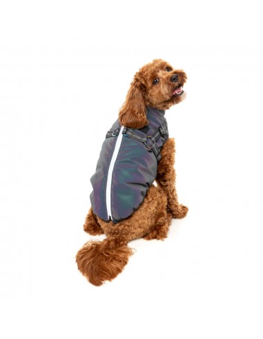 FuzzYard Flash reflective dog jacket with harness