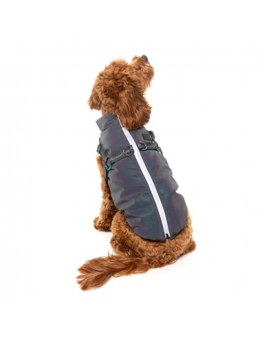 FuzzYard Flash reflective dog jacket with harness