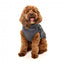 FuzzYard Flash reflective dog jacket with harness