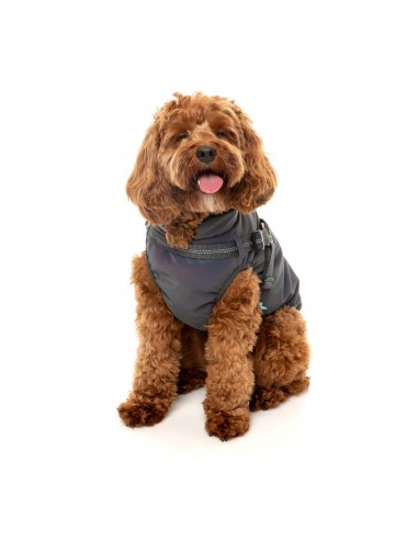 FuzzYard Flash reflective dog jacket with harness