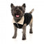 FuzzYard Frontier sherpa-lined dog jacket in black