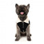 FuzzYard Frontier sherpa-lined dog jacket in black