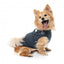 2-in-1 dog jacket with harness FuzzYard Horizon in navy