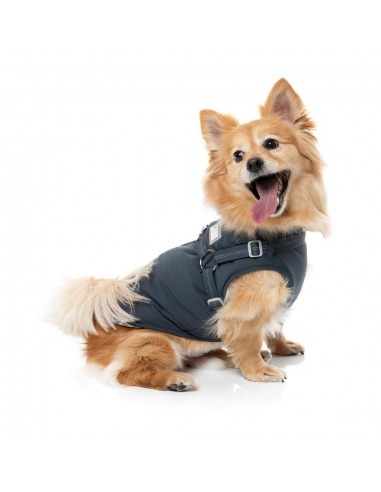 2-in-1 dog jacket with harness FuzzYard Horizon in navy