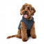 2-in-1 dog jacket with harness FuzzYard Horizon in navy