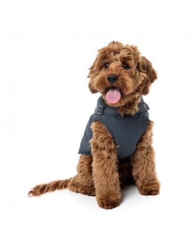2-in-1 dog jacket with harness FuzzYard Horizon in navy