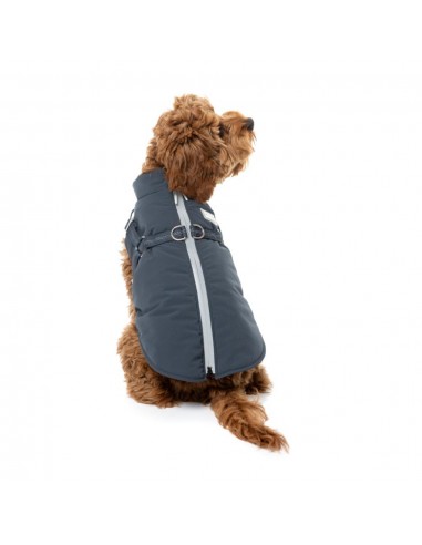 2-in-1 dog jacket with harness FuzzYard Horizon in navy