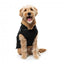2-in-1 dog jacket with harness FuzzYard Horizon in black