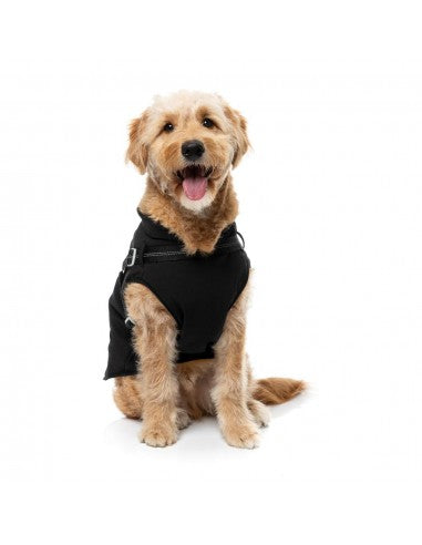 2-in-1 dog jacket with harness FuzzYard Horizon in black