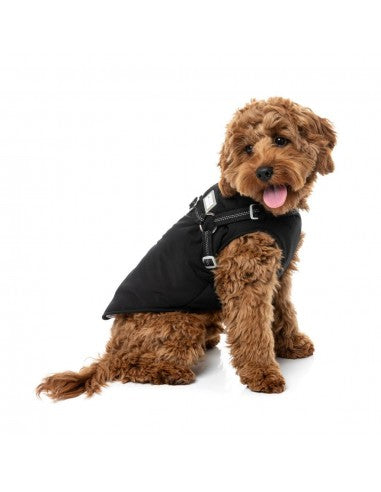2-in-1 dog jacket with harness FuzzYard Horizon in black