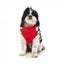 FuzzYard Ollie Red Check Sherpa Dog Coat