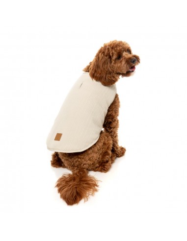 FuzzYard Umeda Reversible Dog Gilet, Bone
