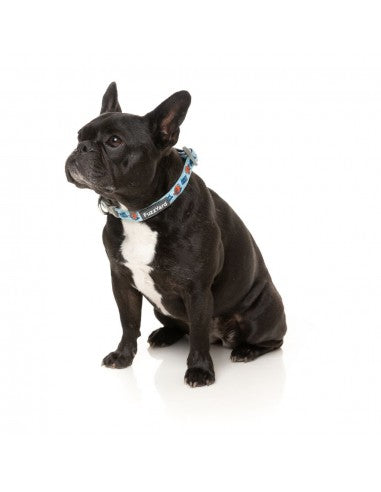 FuzzYard Ahoy There! neoprene dog collar (size XS)