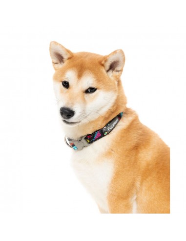 Neoprene dog collar FuzzYard Bel Air