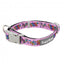 FuzzYard Fiesta neoprene dog collar (size M)