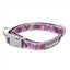 FuzzYard Fiesta neoprene dog collar (size S)