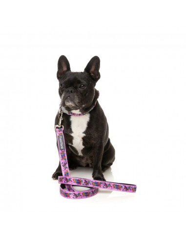 FuzzYard Fiesta neoprene dog collar (size S)
