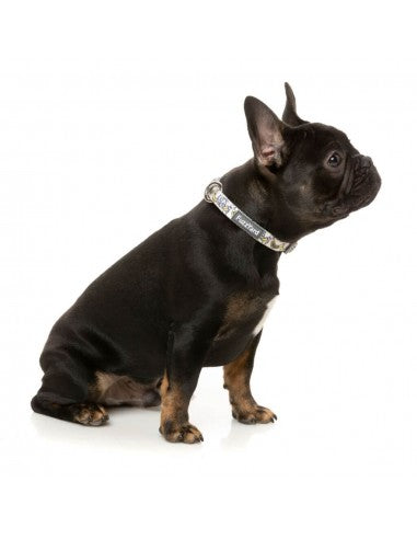 FuzzYard Go Bananas neoprene dog collar (size L)