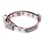 FuzzYard LL Cool Jaw neoprene dog collar (size L)