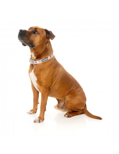 FuzzYard LL Cool Jaw neoprene dog collar (size L)