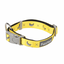 FuzzYard Monkey Mania neoprene dog collar (size L)