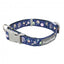 FuzzYard Pluto Pup neoprene dog collar (size L)