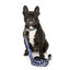 FuzzYard Pluto Pup neoprene dog collar (size XS)