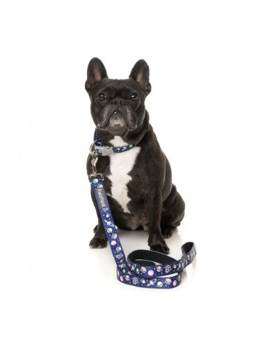 FuzzYard Pluto Pup neoprene dog collar (size XS)