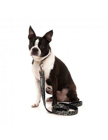 FuzzYard Savanna neoprene dog collar (size S)