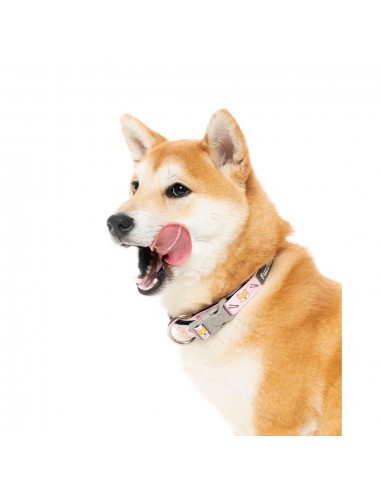 FuzzYard SuShiba neoprene dog collar (size M)