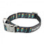 FuzzYard Volt! neoprene dog collar (size M)