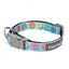 FuzzYard You Drive Me Glazy neoprene dog collar (size M)