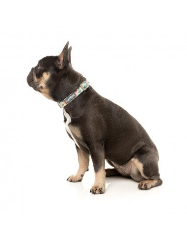 FuzzYard Carioca neoprene dog collar (size S)