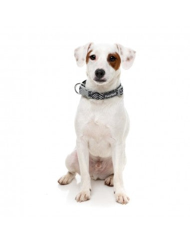 FuzzYard Fitzroy neoprene dog collar (size M)
