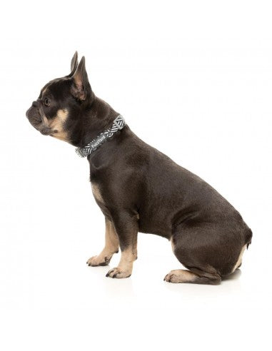 FuzzYard Fitzroy neoprene dog collar (size S)