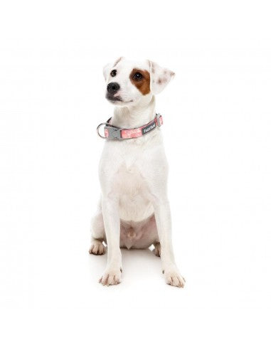 FuzzYard Pink Lemonade neoprene dog collar (size M)