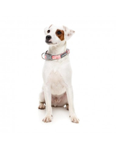 FuzzYard Pink Lemonade neoprene dog collar (size S)