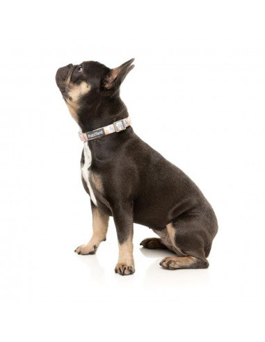 FuzzYard Yazd padded neoprene dog collar (size M)