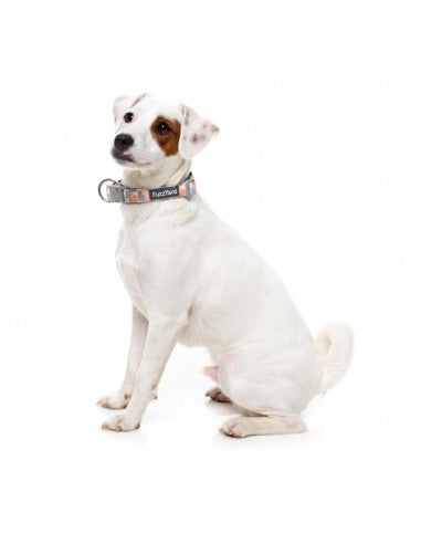 FuzzYard Yazd padded neoprene dog collar (size S)